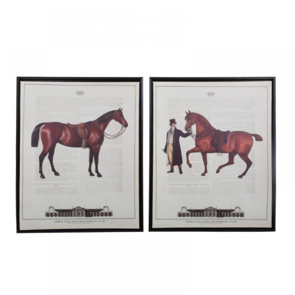 Καδρο Fylliana Brown Horse 1/2 40*50