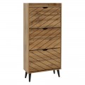 Παπουτσοθήκη Thelma Pakoworld 12 Ζεύγων Oak 60X23.8X131.6Εκ