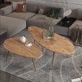 Τραπέζι Σαλονιού Monty Pakoworld 2 Τεμ. Σε Oak Απόχρωση 116X46X46Εκ
