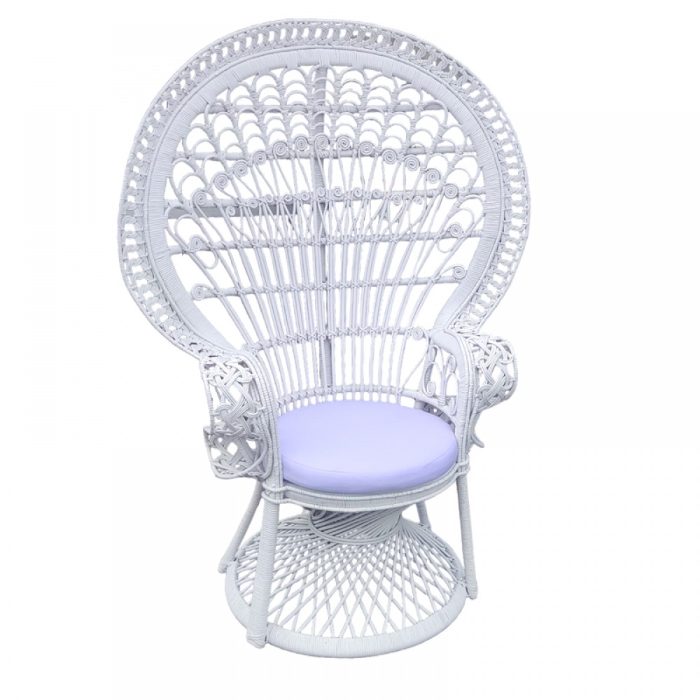 Πολυθρόνα Dorothy Inart Με Λευκό Μαξιλάρι-Λευκό Rattan 115X53X147Εκ