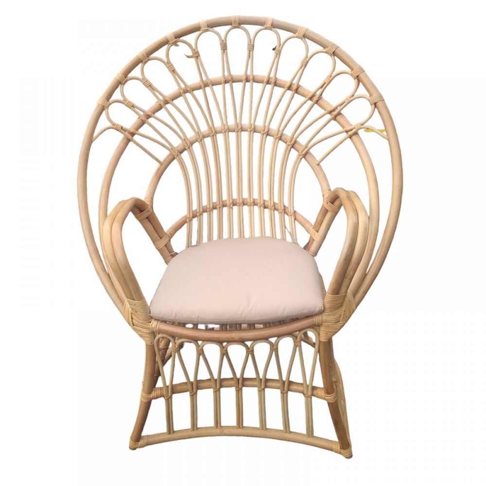 Πολυθρόνα Boloni Inart Με Μπεζ Μαξιλάρι-Φυσικό Rattan 96X70X120Εκ