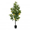 Διακοσμητικό Φυτό Lemon Tree Σε Γλάστρα Inart Πράσινο Pp Υ150Εκ
