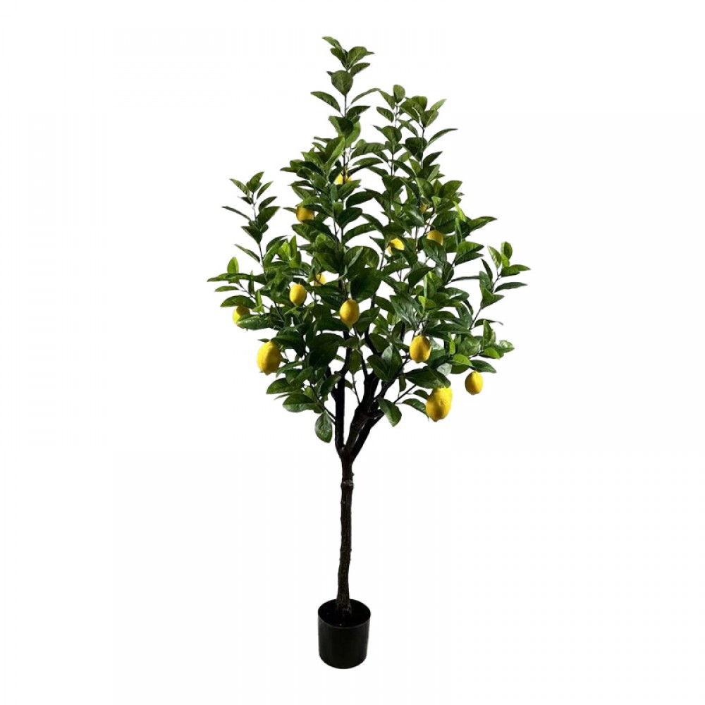 Διακοσμητικό Φυτό Lemon Tree Σε Γλάστρα Inart Πράσινο Pp Υ180Εκ