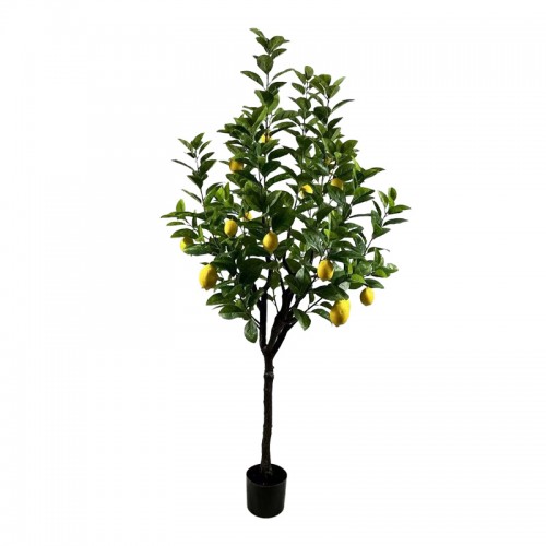 Διακοσμητικό Φυτό Lemon Tree Σε Γλάστρα Inart Πράσινο Pp Υ180Εκ