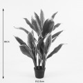 Διακοσμητικό Φυτό Σε Γλάστρα Cycas Inart Πράσινο Φ55X80Εκ
