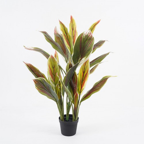 Διακοσμητικό Φυτό Σε Γλάστρα Cycas Inart Πράσινο Φ55X80Εκ