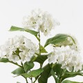 Διακοσμητικό Φυτό Σε Γλάστρα Hydrangea Inart Λευκό Φ35X50Εκ