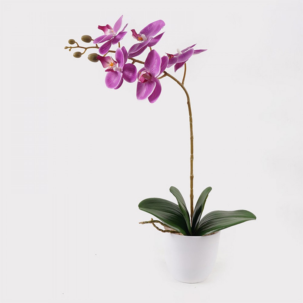 Διακοσμητικό Φυτό Σε Γλάστρα Οrchid Beauty Inart 30X13X46Εκ