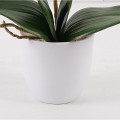 Διακοσμητικό Φυτό Σε Γλάστρα Οrchid Beauty Inart 30X13X46Εκ