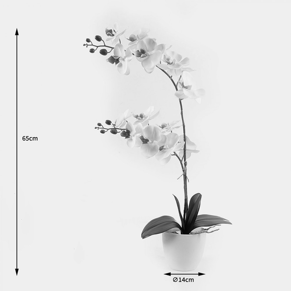 Διακοσμητικό Φυτό Σε Γλάστρα Οrchid White Inart 36X17X65Εκ